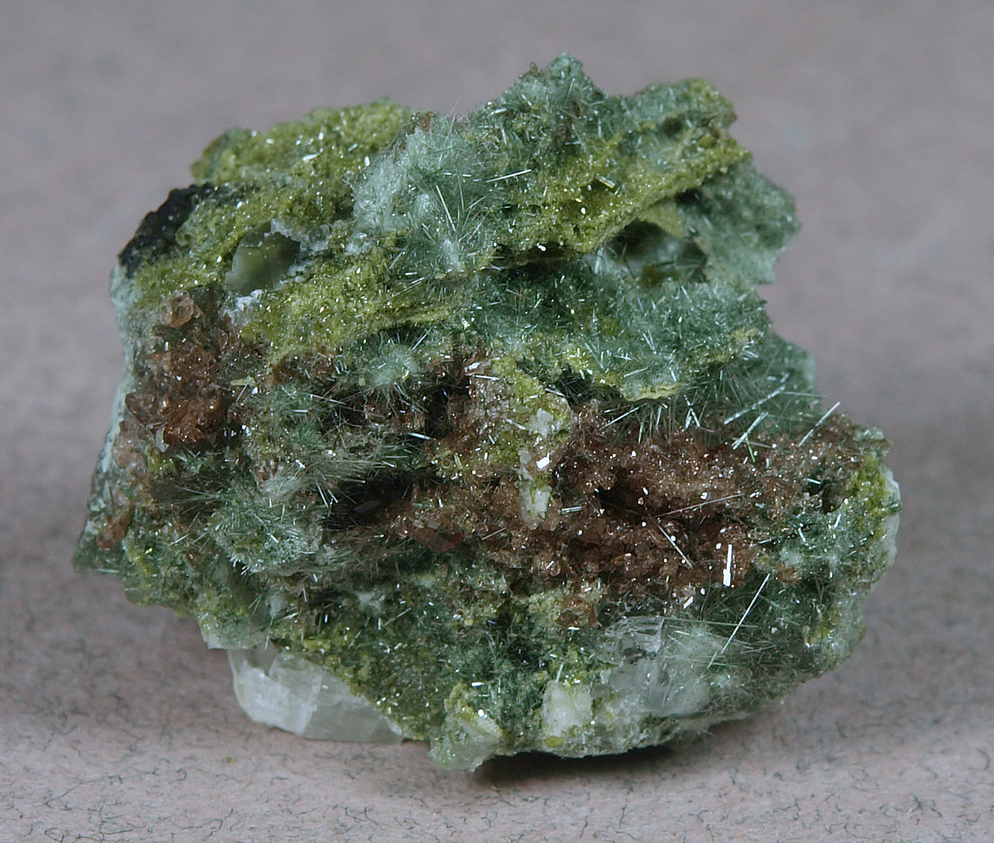 Tiny brown crystals of axinite-(Fe) nestled among needles of green actinolite, with olive-green epidote and a little white calcite