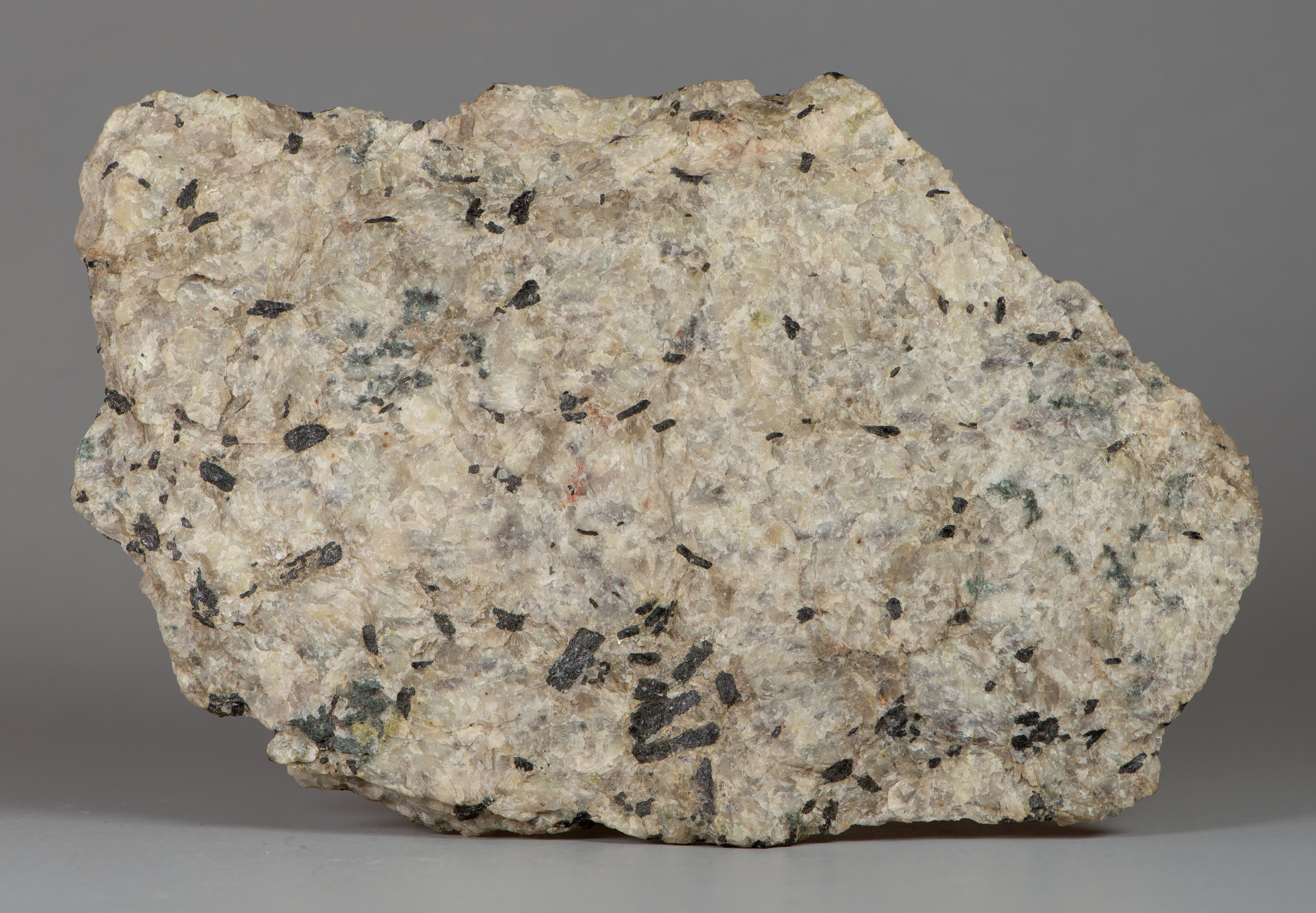 Allanite crystals in pegmatite matrix rock