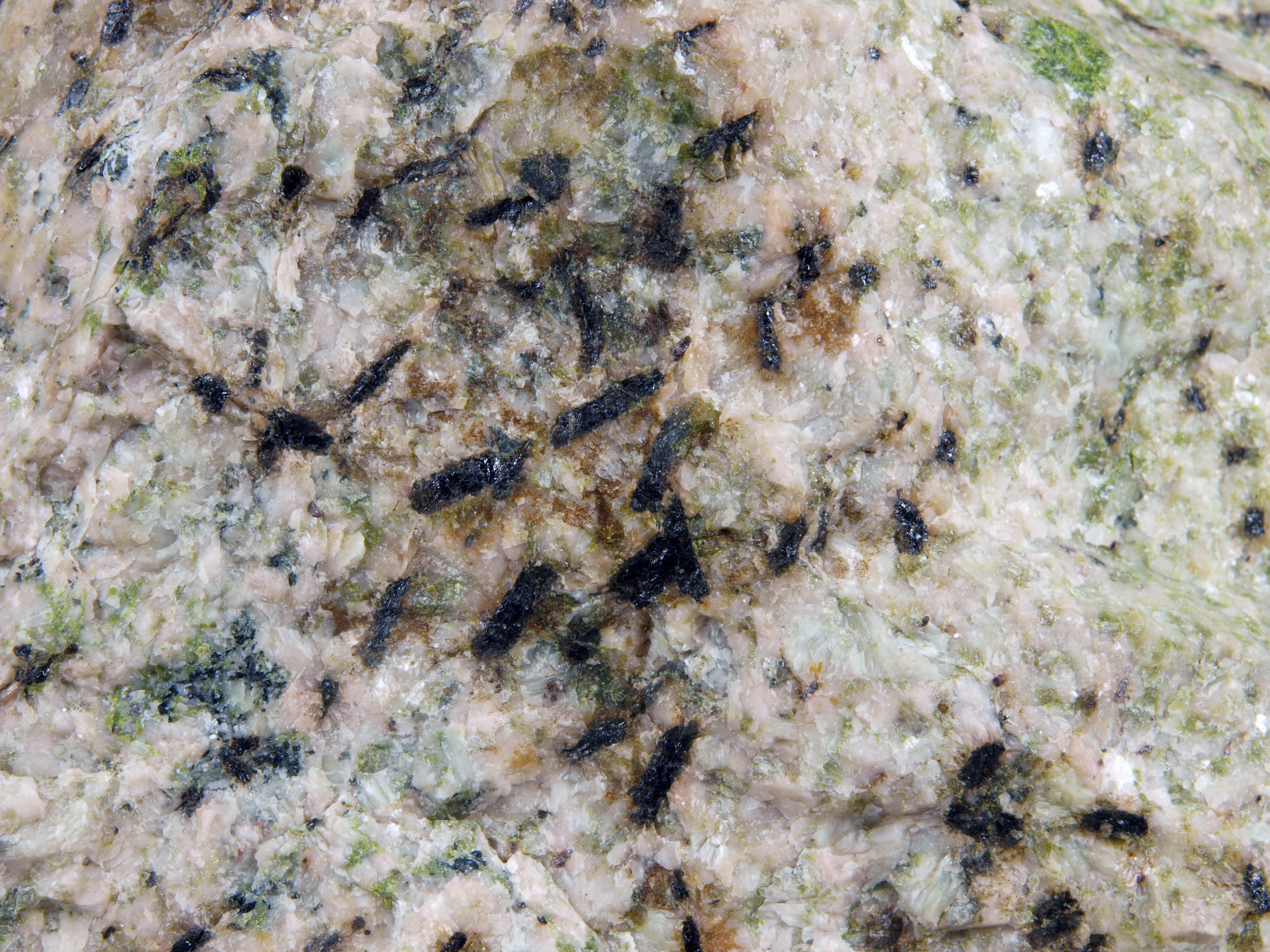 Glassy, nearly black allanite, most 4-7 mm in length on ivory-colored feldspar partly altered to green epidote