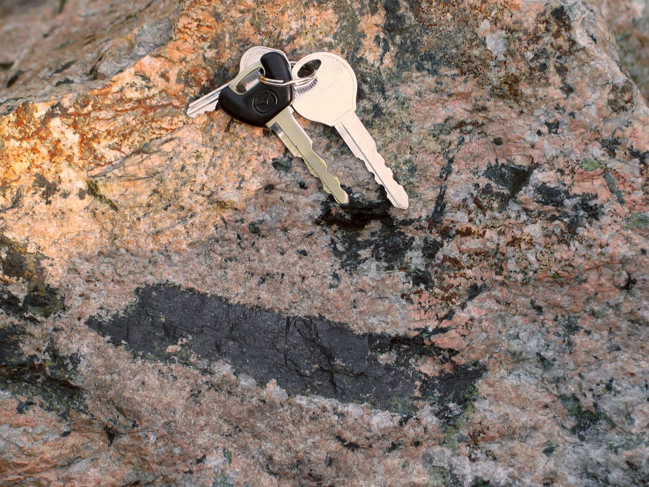 Large allanite crystal, slightly more than 15 cm long, embedded in microcline-quartz pegmatite rock