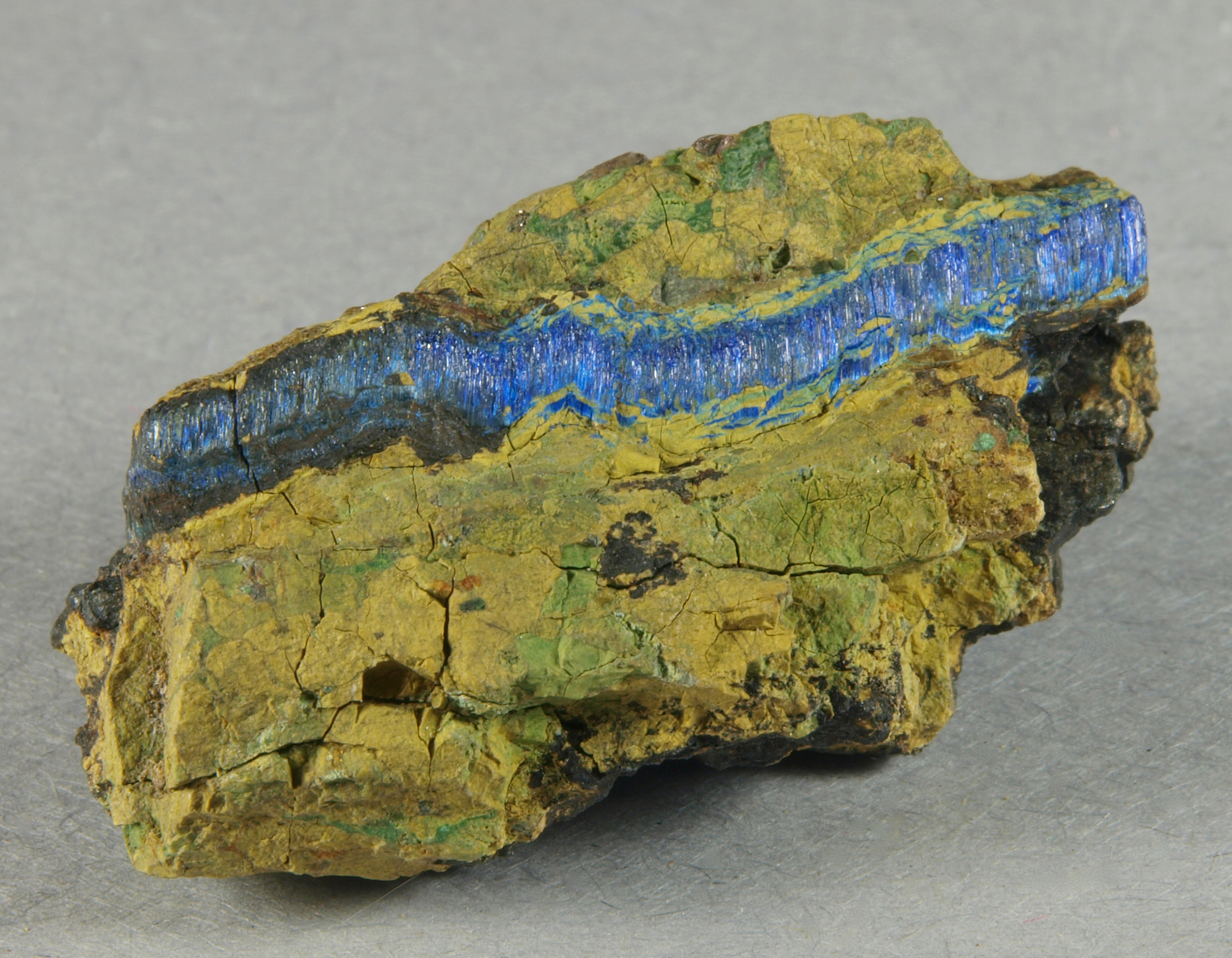 A vein of fibrous, deep blue azurite in a fine-grained, friable olive-green matrix