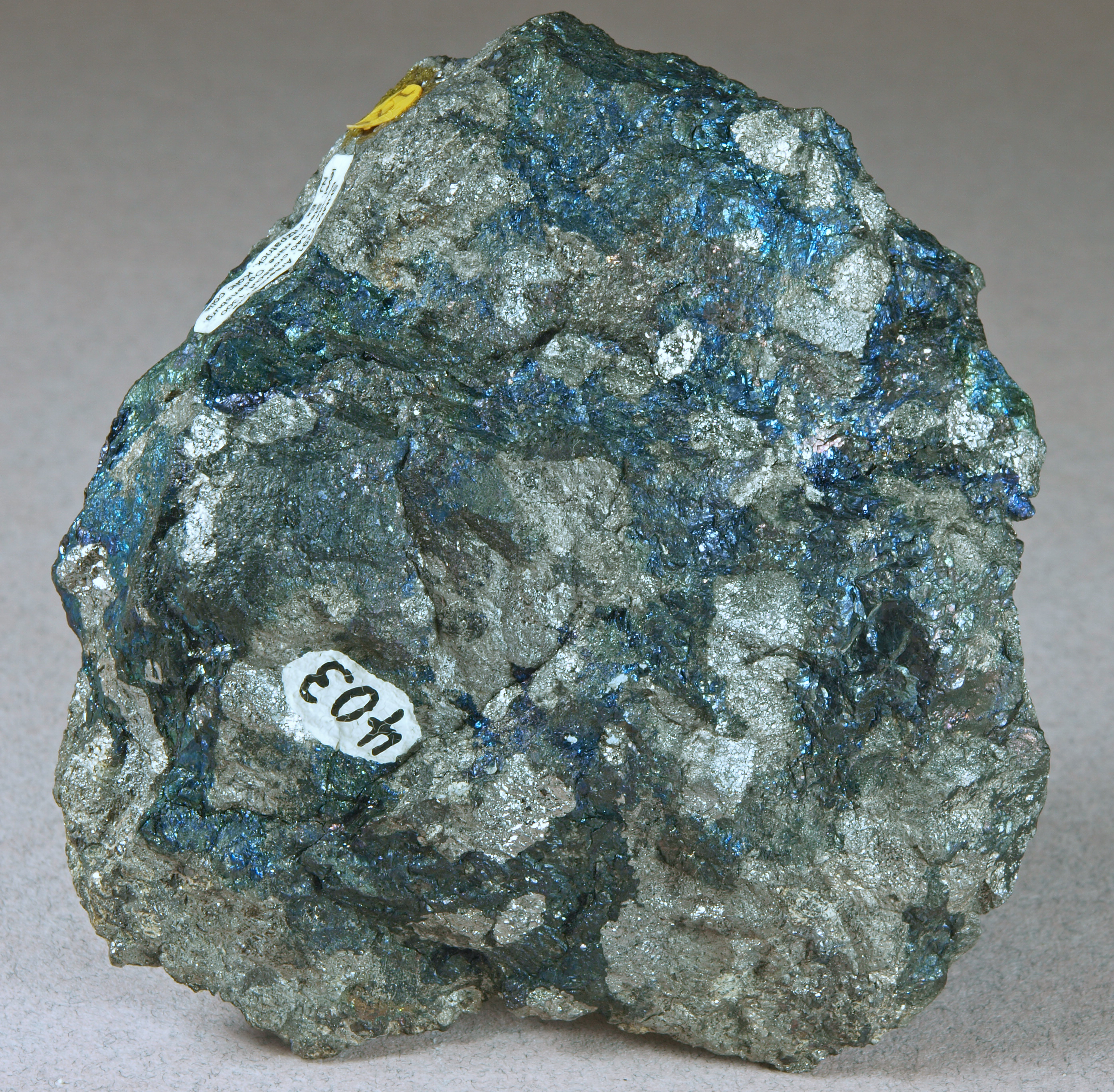 Bornite (tarnished blue) and arsenopyrite 