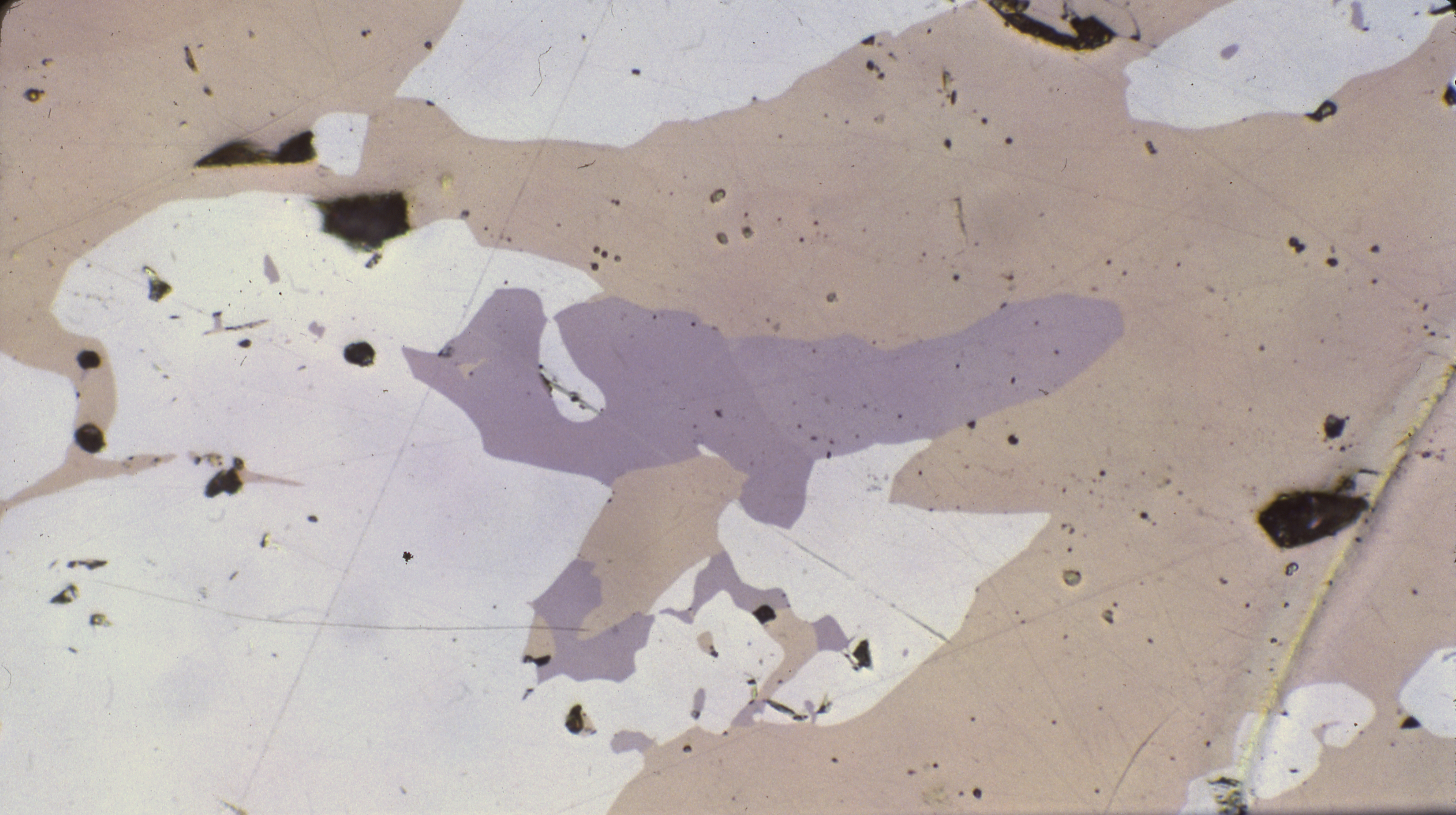 Dendritic mass of nickeline and associated arsenide minerals, tiny, pale violet blebs breithauptite