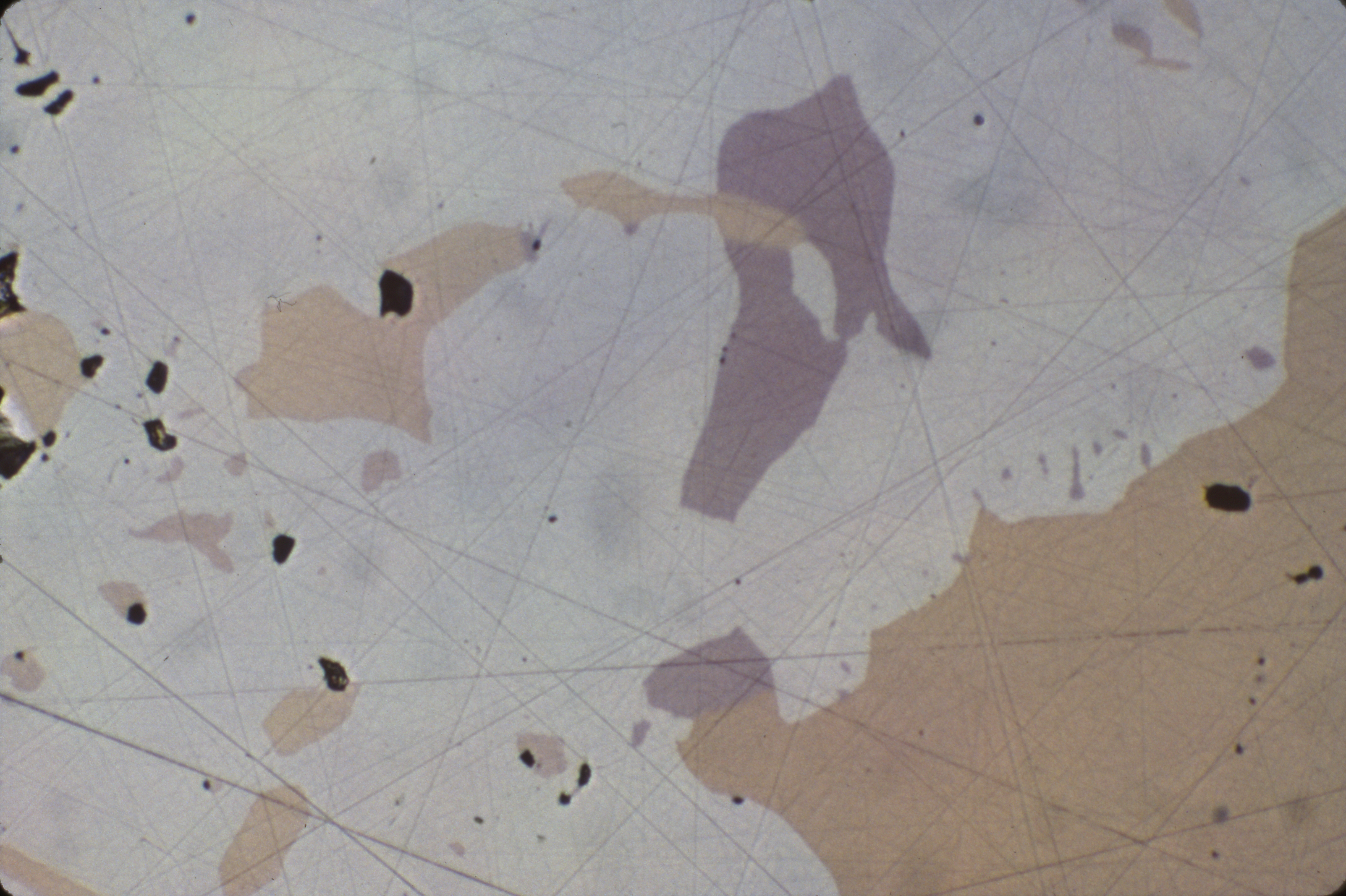 Dendritic mass of nickeline and associated arsenide minerals, tiny, pale violet blebs breithauptite
