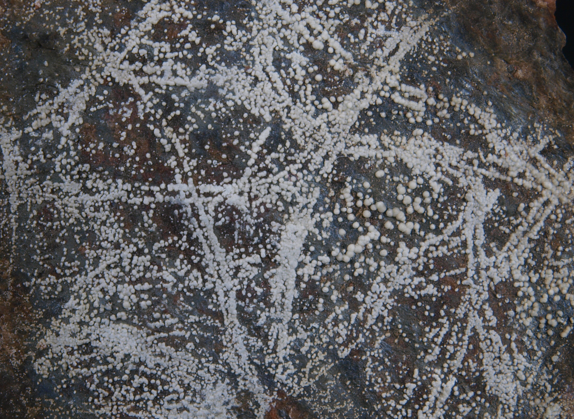 Tiny hemispherules of white dypingite on a fracture surface, brick-red willemite and black franklinite