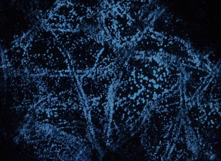 Tiny hemispherules of white dypingite on a fracture surface, brick-red willemite and black franklinite under longwave UV Light
