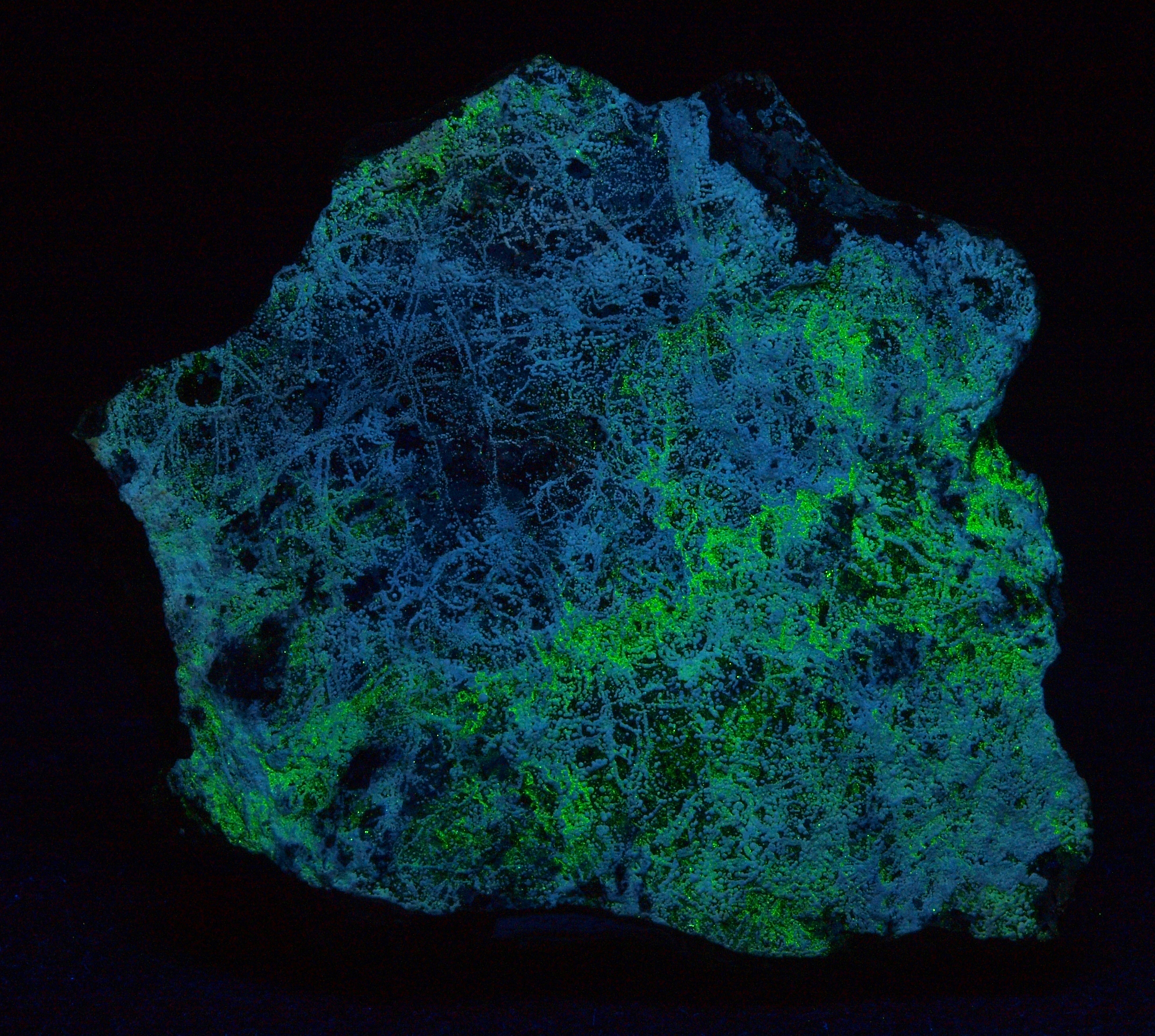 Platelike specimen with submillimeter spheroids of white dypingite under shortwave UV Light