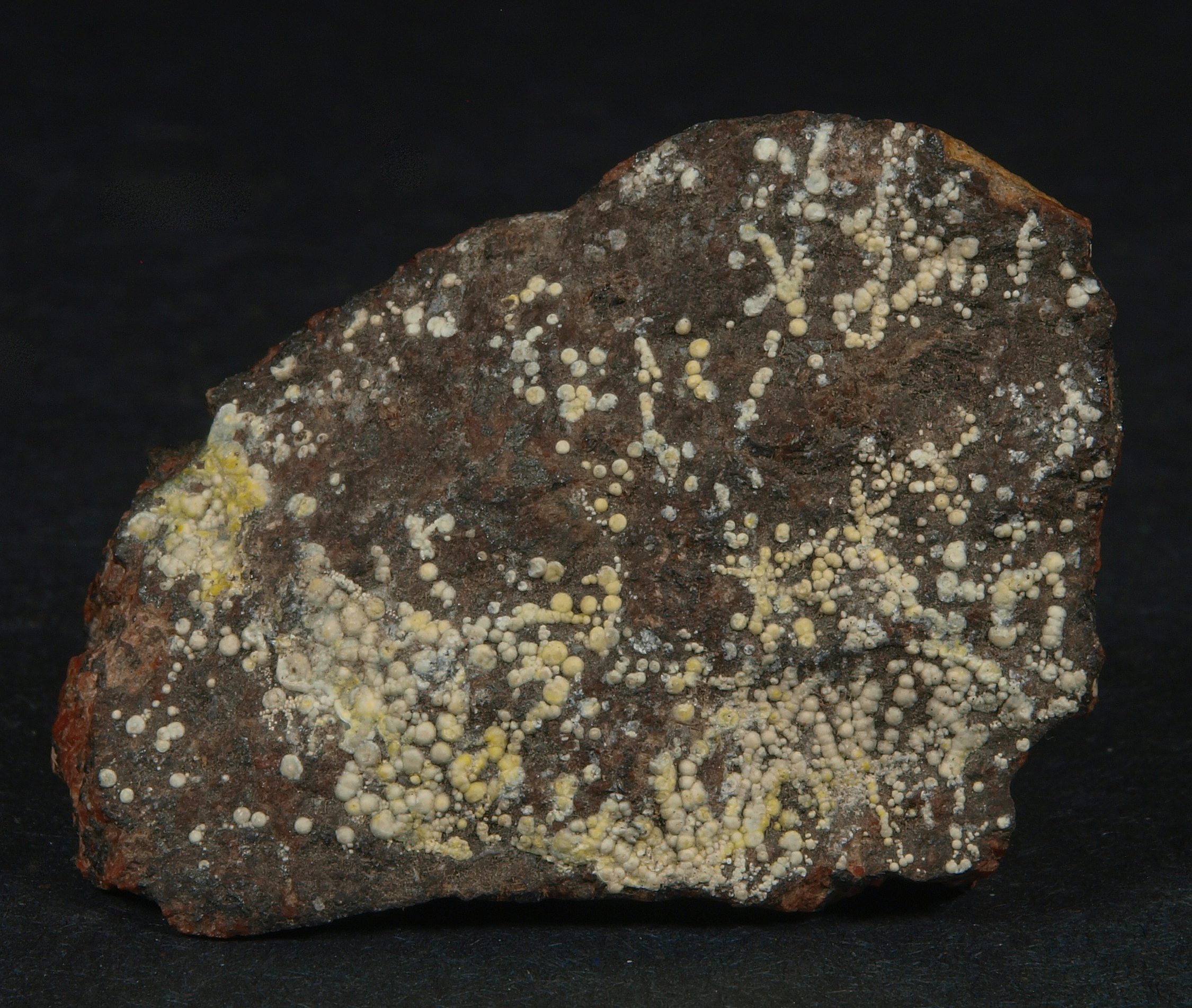 Pale yellow hemispheres of dypingite on willemite-franklinite-calcite "red ore"