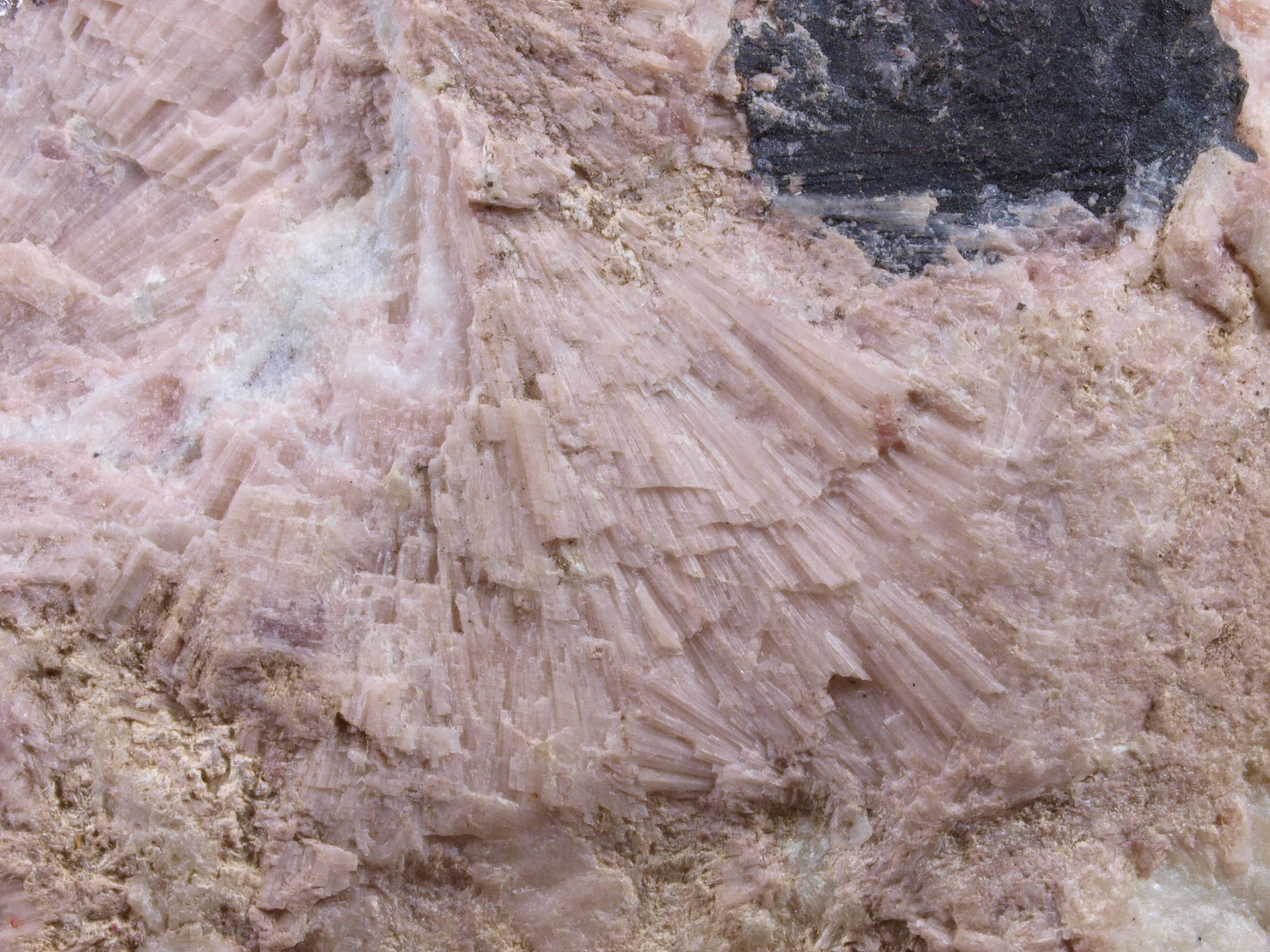 Radiating pale pink gerstmannite crystals on pale green willemite,white calcite and black pyrochroite