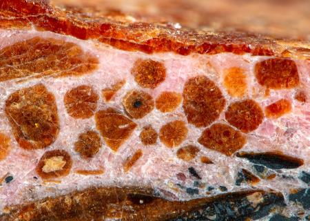 SCH1, reddish-brown schallerite blebs in a matrix of fine-grained pink rhodonite, Franklin mine, Franklin NJ