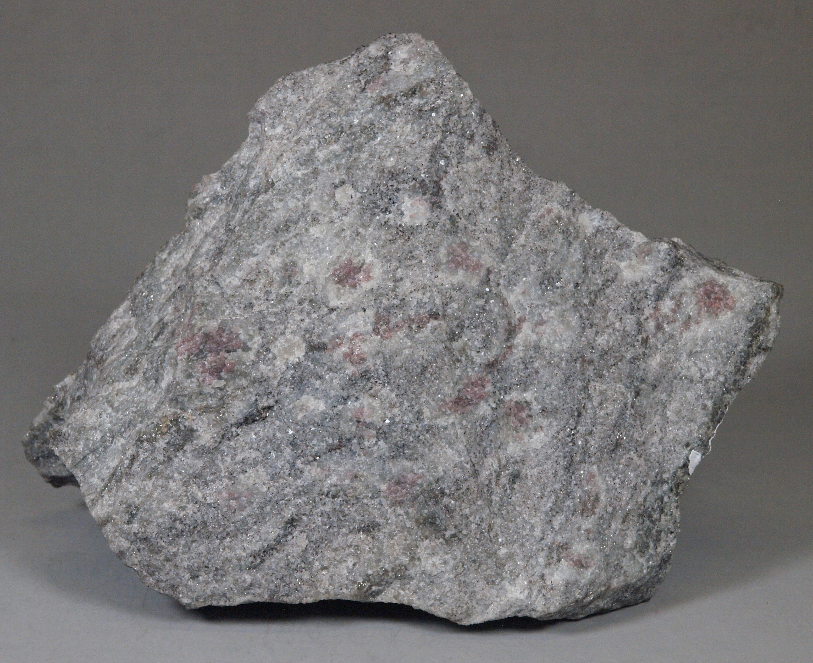 Tiny (1-3 mm), slender, prismatic sillimanite crystals, grains of pink almandine in a pale gray, quartz-oligoclase-almandine gneiss