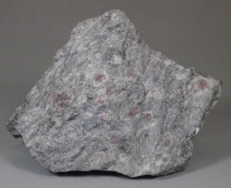 Tiny (1-3 mm), slender, prismatic sillimanite crystals, grains of pink almandine in a pale gray, quartz-oligoclase-almandine gneiss
