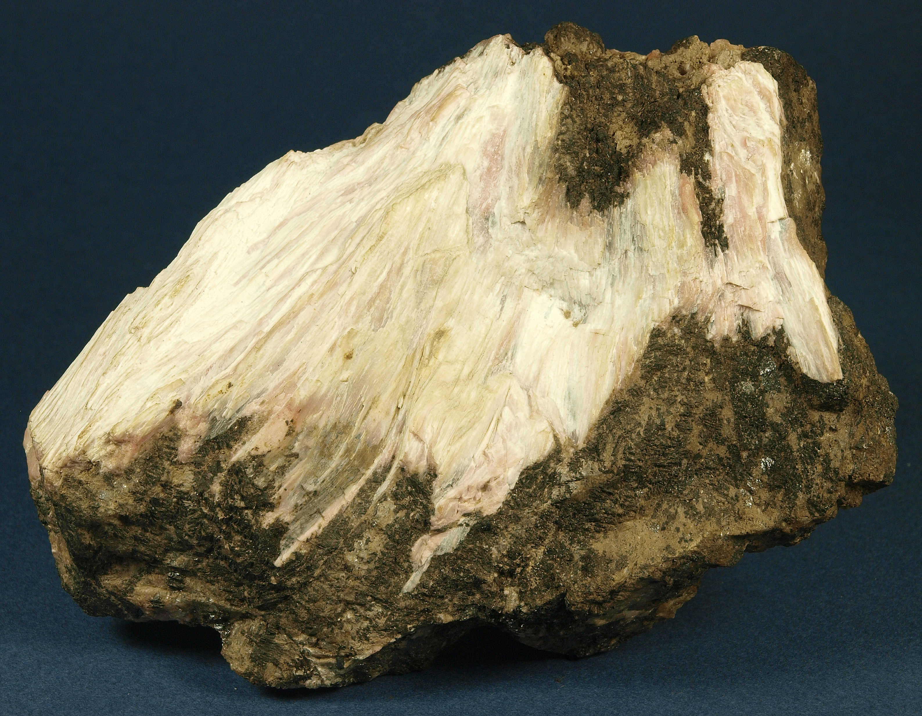 Fibrous white-to-pinkish sussexite, oxidized pyrochroite, Franklin mine, Franklin 