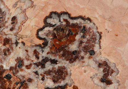 Pale pink sussexite, hematite-strained ore, calcite, Sterling mine, Ogdensburg