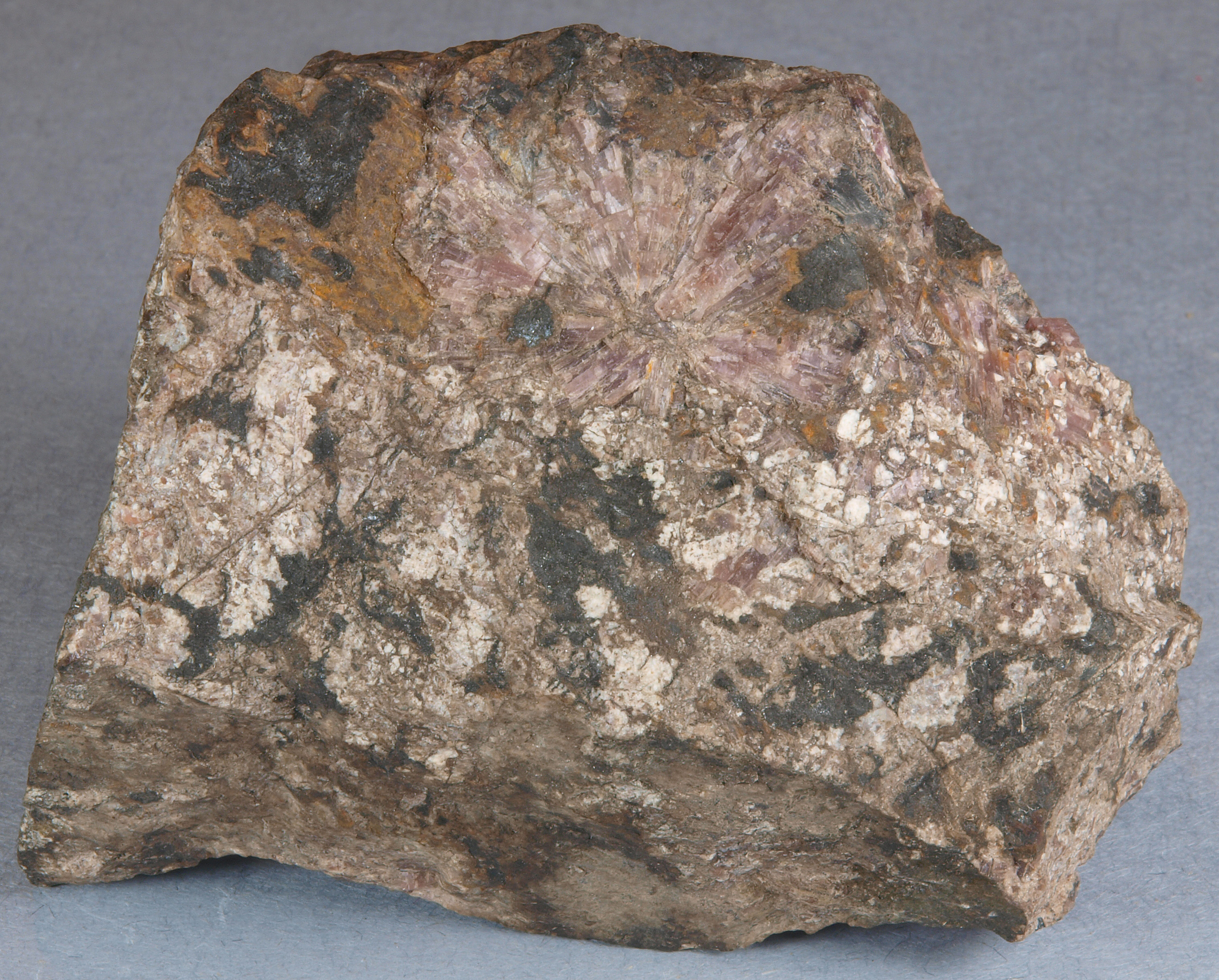 Rosette of “radiating sussexite”, oxidized pyrochroite, calcium, Sterling Hill, Ogdensburg