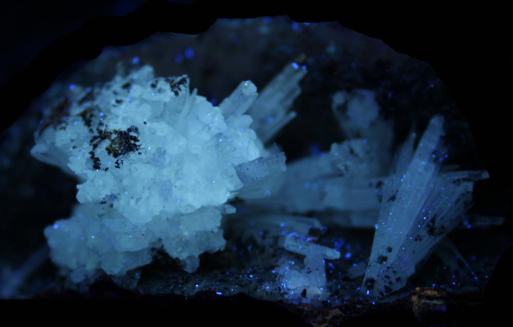 Aragonite crystals on matrix, &quot;mud zone,&quot; from Sterling Hill Mine under longwave UV Light