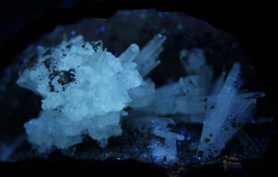 Aragonite crystals on matrix, "mud zone," from Sterling Hill Mine under longwave UV Light