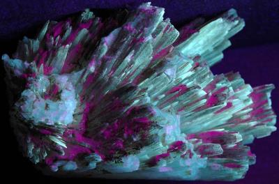 Aragonite crystals on matrix from the Sterling Hill Mine under shortwave UV Light