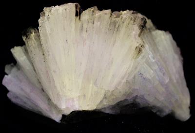 Aragonite crystals from the Sterling Hill Mine, Ogdensburg, NJ under longwave UV Light