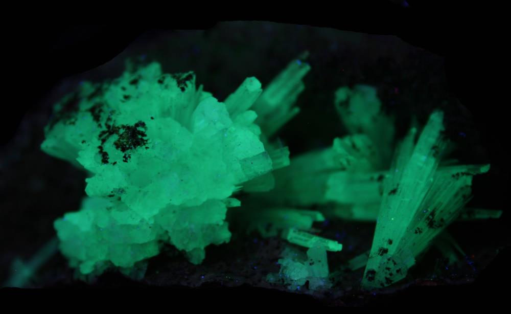 Aragonite crystals on matrix, &quot;mud zone,&quot; from Sterling Hill Mine under shortwave UV Light