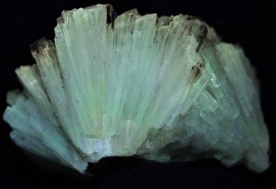 Aragonite crystals from the Sterling Hill Mine, Ogdensburg, NJ under shortwave UV Light