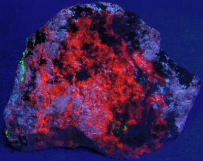 Axinite-(Mn), margarosanite, willemite, andradite, franklinite, from Franklin under shortwave UV Light