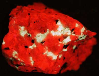 Barite, calcite and minor franklinite from the Sterling Hill Mine, NJ. under shortwave UV Light