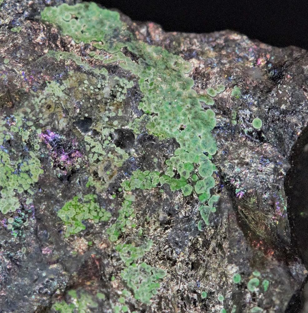 Brochantite on chalcocite matrix from Franklin, NJ