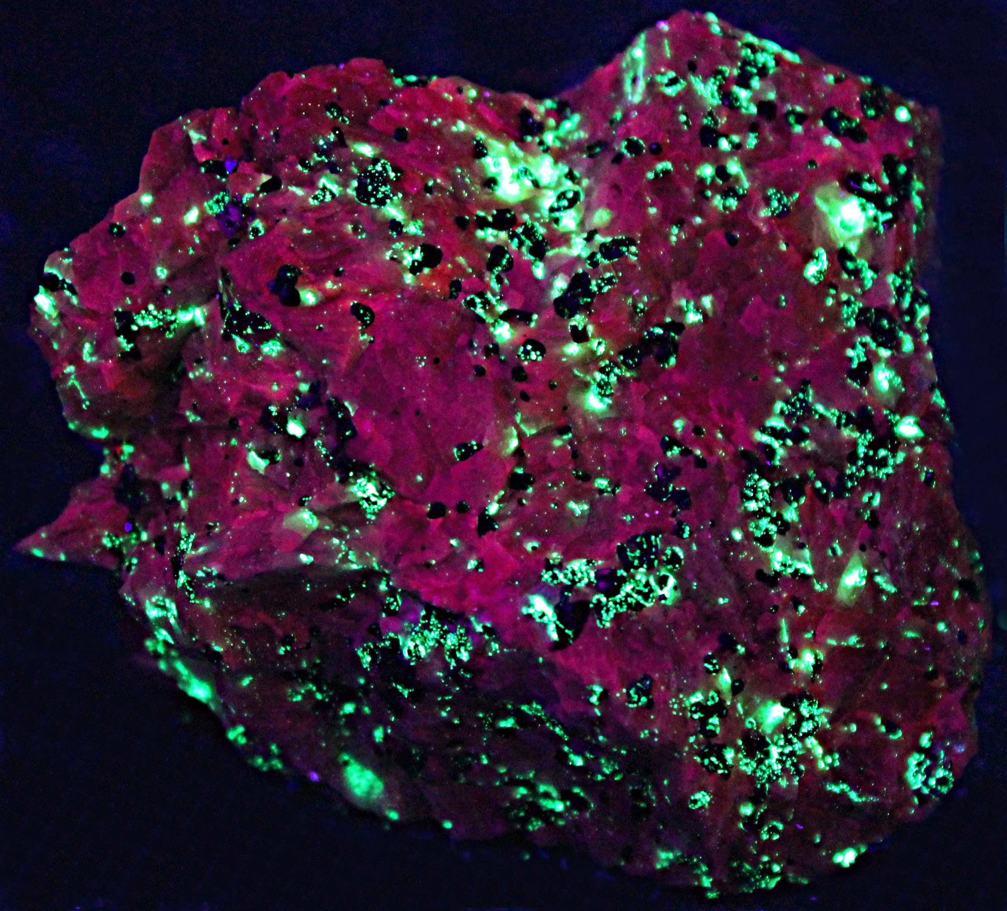 Dark Pink Fluorescent Calcite, willemite, franklinite and zincite, Trotter Dump, Franklin NJ. under shortwave UV Light