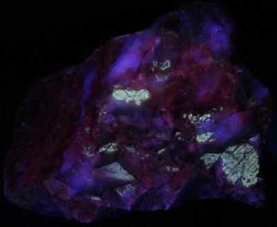 Calcite (mid-wave) and minor franklinite, from the Buckwheat Dump, Franklin NJ. Photo by WP. under longwave UV Light