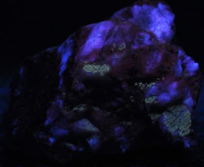 Calcite (mid-wave) and minor franklinite, from the Buckwheat Dump, Franklin NJ. Photo by WP. under midwave UV Light