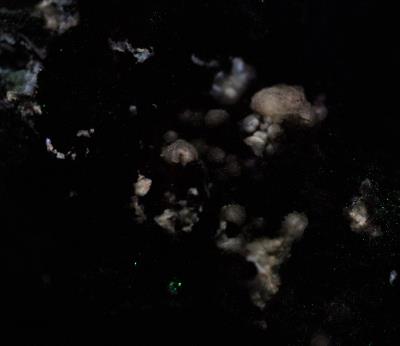 Cerussite with magnetite from Sterling Hill Mine, NJ. under shortwave UV Light