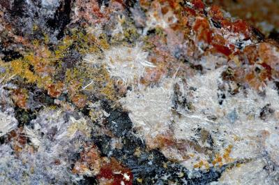 Chlorophoenicite crystal sprays, franklinite, rhodochrosite, zincite and willemite from Sterling Hill Mine, NJ