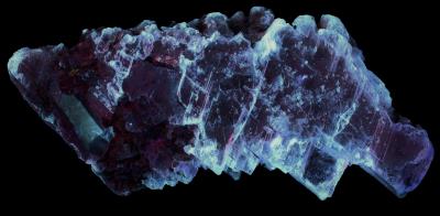 Gypsum (selenite), franklinite and calcite from the Sterling Hill Mine, NJ under longwave UV Light