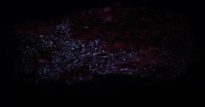 Hydrozincite coating on calcite from the Buckwheat dump Franklin, NJ under longwave UV Light