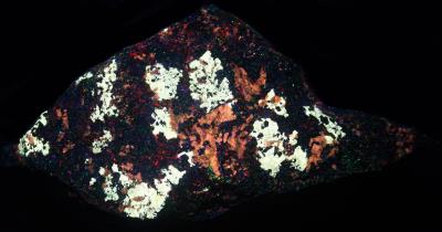 Scheelite and apatite in a pyroxene matrix from Franklin under shortwave UV Light