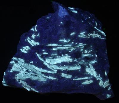 Tremolite crystal sprays in franklin marble from the Franklin Quarry Franklin, NJ under shortwave UV Light