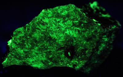 Willemite crystals on willemite / franklinite matrix from Franklin, NJ. under longwave UV Light