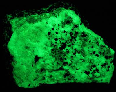 Green willemite, glaucochroite and franklinite, from Franklin, NJ. under midwave UV Light