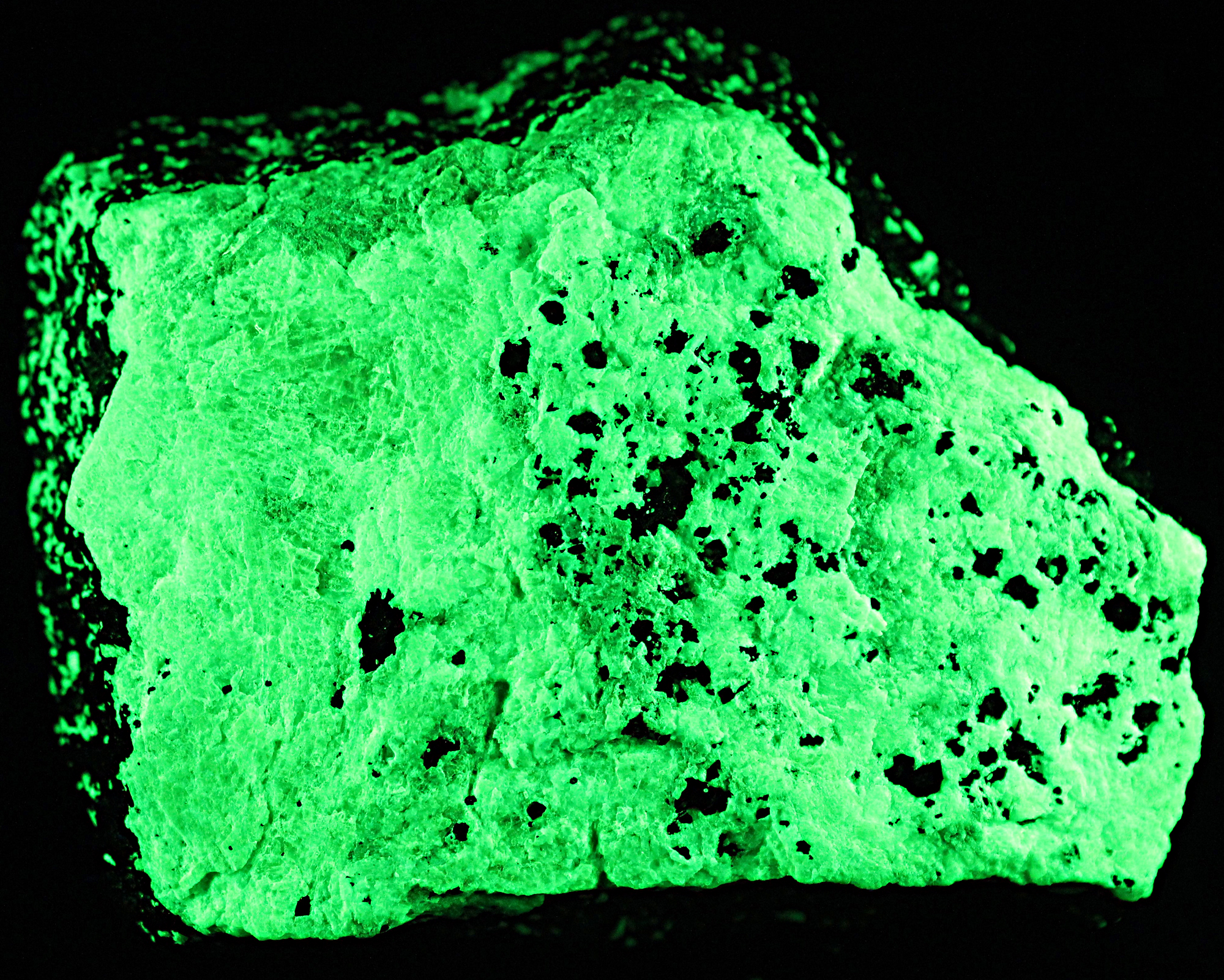 Green willemite, glaucochroite and franklinite, from Franklin, NJ. under shortwave UV Light