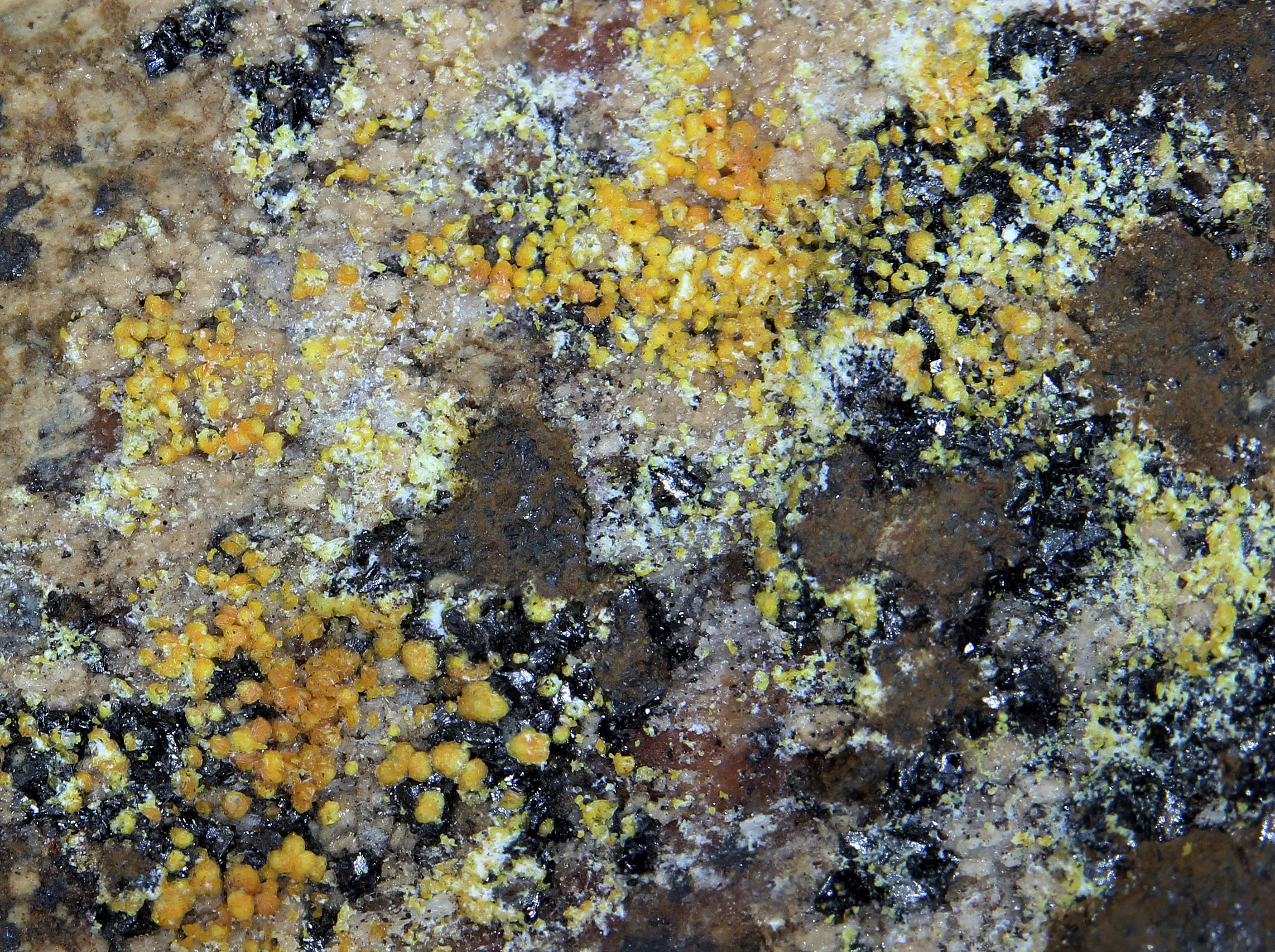 Secondary zincite crystals, hetaerolite crystals, hodgkinsonite, willemite, hydrozincite and sphalerite from the Sterling Hill Mine, NJ